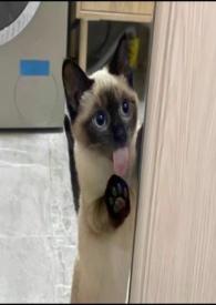 慢慢喜欢你讲的是什么故事