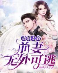 前妻离婚无效txt