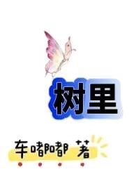 从农村包围城市到乡村振兴群众何以