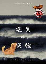 完美实验法byApril全文免费