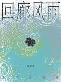 回廊风雨人未归大结局
