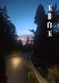 玉石非玉完整番外在线