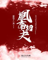 帝凰讲什么