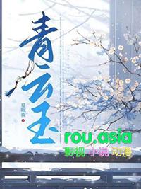 青云玉液53度价格表及图片