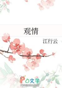 观情斋番外txt百度