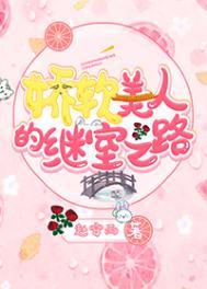 娇软美人讲的是什么