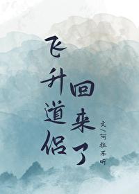 多次飞升的
