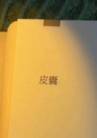皮囊在线阅读免费