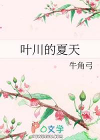 叶川的夏天讲了什么