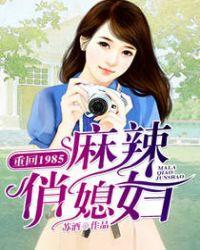 重返1985麻辣俏媳妇