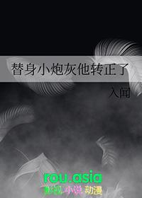 替身小炮灰他转正了 作者入闻