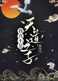 我真不是天道之子TXT妖月空