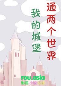 城堡mc