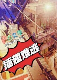 插翅难逃电视剧