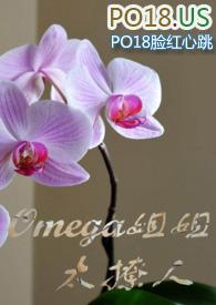 我的omega姐姐