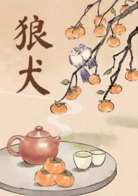 纯种黑狼犬