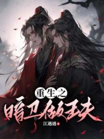 重生之暗卫做王夫(秋予辰)