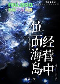 位面经营文