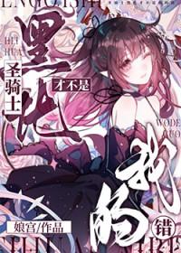黑化圣骑士晋江