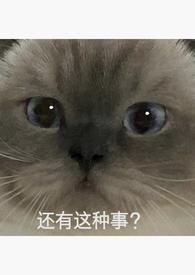 重生回强上男主的后一天棠月