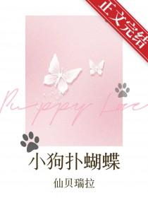 小狗捉蝴蝶