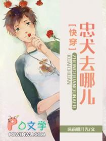 忠犬都去哪了