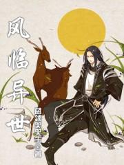 风临异世 百科