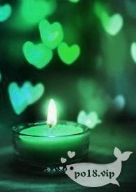 寄南枝免费阅读