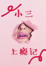 小三上瘾记_