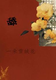 对马岛之魂 地头的心声