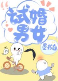 试婚意思