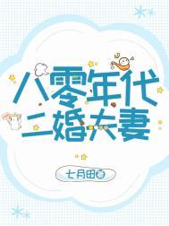 八零年代二婚夫妻七月田电视剧