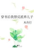 穿书后我替反派养儿子字数