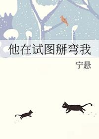 他在试图掰弯我by宁宵