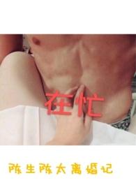 陈生陈太离婚记肉