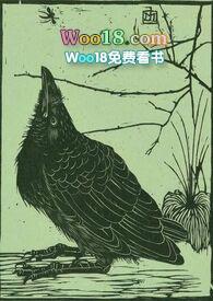 空壳歌曲