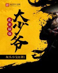 北宋少年名将