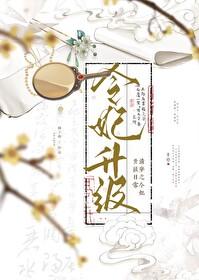 清穿令妃升职