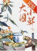 大国小城在线阅读