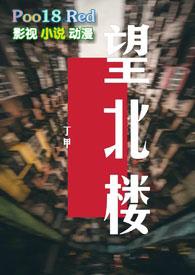 望北楼百度