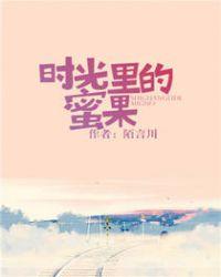 时光里面的蜜果