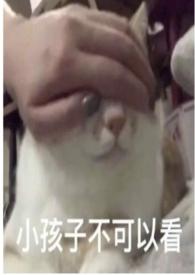 圈养蔷薇(纯百骨科np)-橘子灯