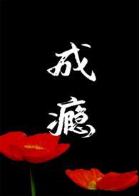 成瘾简介