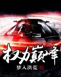 权力巅峰作者梦入洪荒