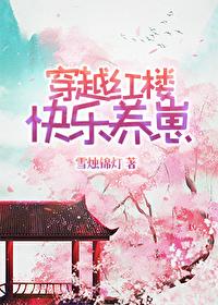 穿越红楼之