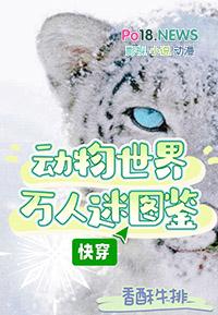 动物世界版快穿