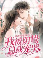 总裁他毁了我免费阅读