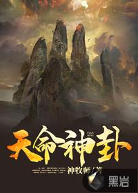 天命神相百科