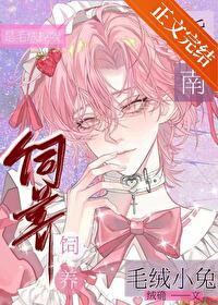 毛绒小宠物有哪些?