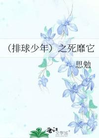 排球少年之死靡它未删减